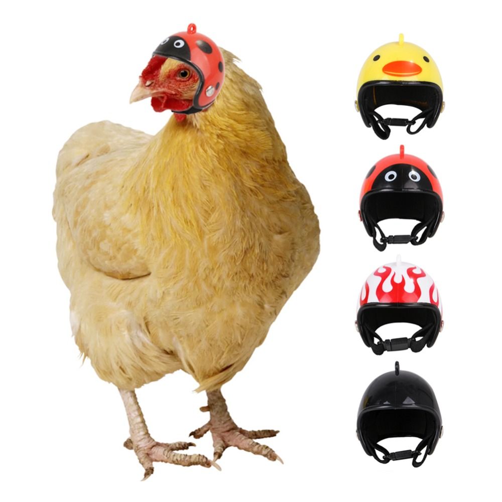 Pet X Supplies & Tack Howell - ABS Huisdierenbenodigdheden Grappige beschermende hoofdbescherming voor