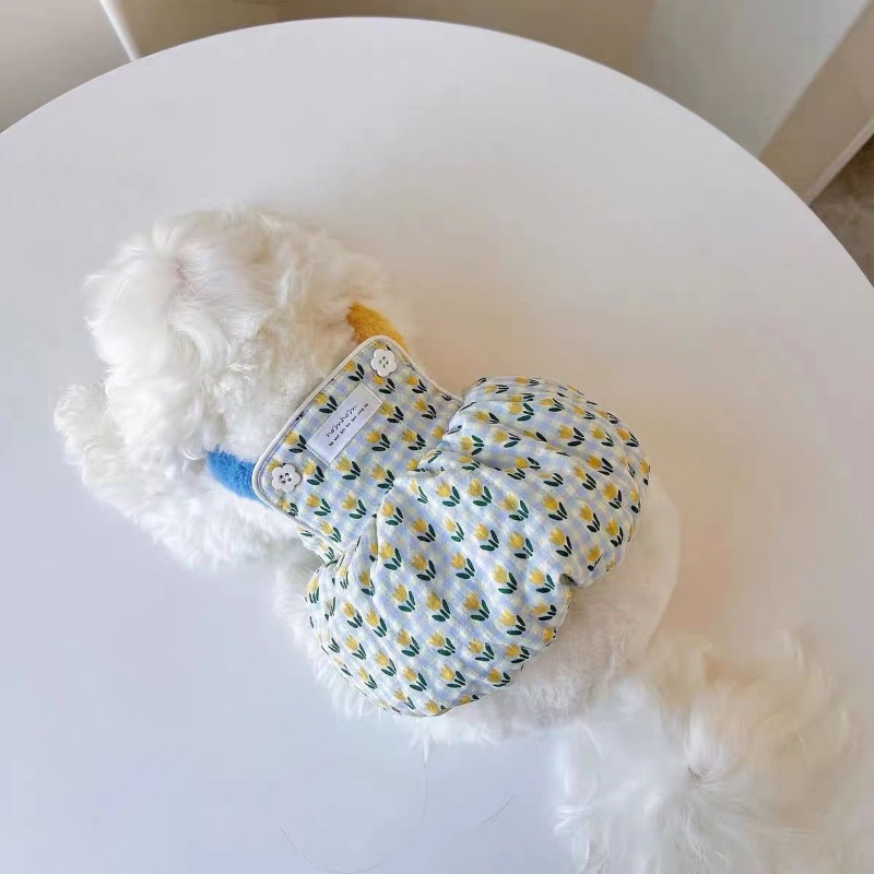 Creatieve herfst- en winterkle - Pet Supplies For Less recensie en prijs