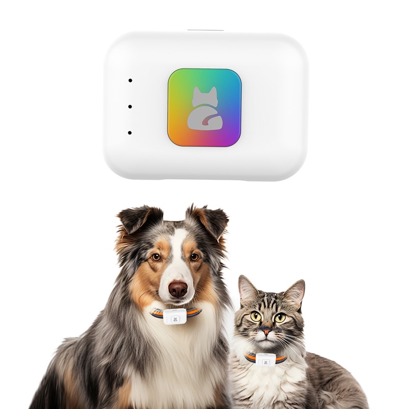 Huisdier GPS AGPS Tracking Dev - Pet Gps Tracker Collar recensie en prijs