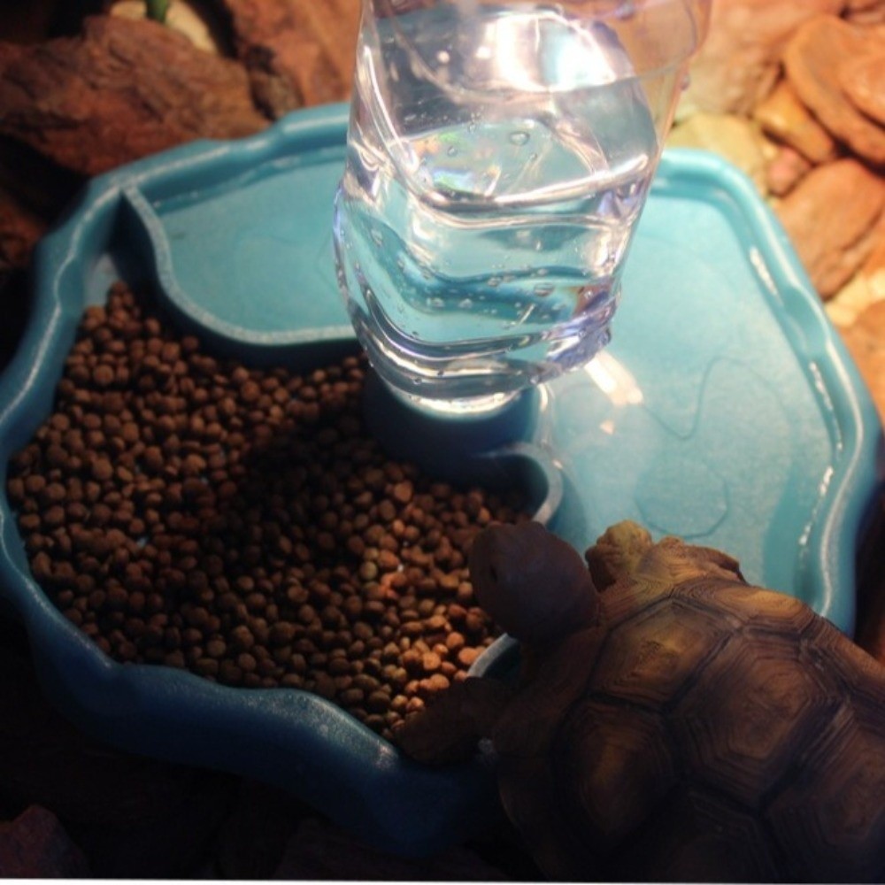Nieuwe verwijderbare reptielen - Pet Supplies Plus recensie en prijs