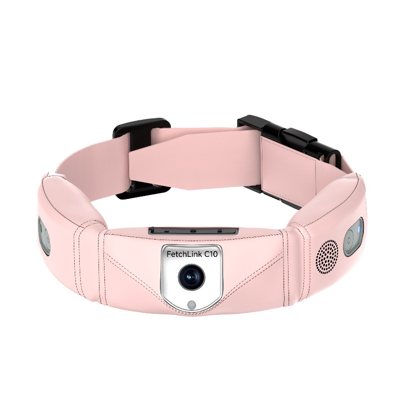 All-in-one slimme halsband met - Pet Gps Tracker Collar recensie en prijs