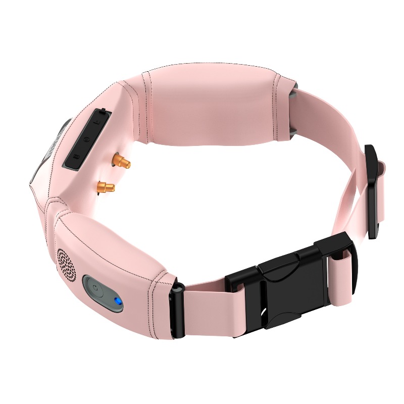 All-in-one slimme halsband met - Pet Gps Tracker Collar recensie en prijs
