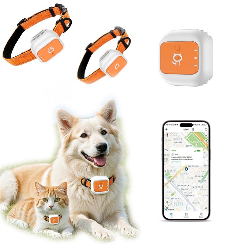 GPS-tracker voor huisdieren, v - Pet Gps Tracker Collar recensie en prijs
