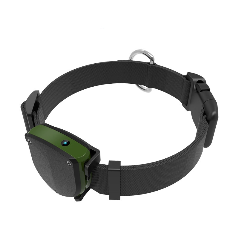 GPS-tracker voor huisdieren me - Pet Gps Tracker Collar recensie en prijs