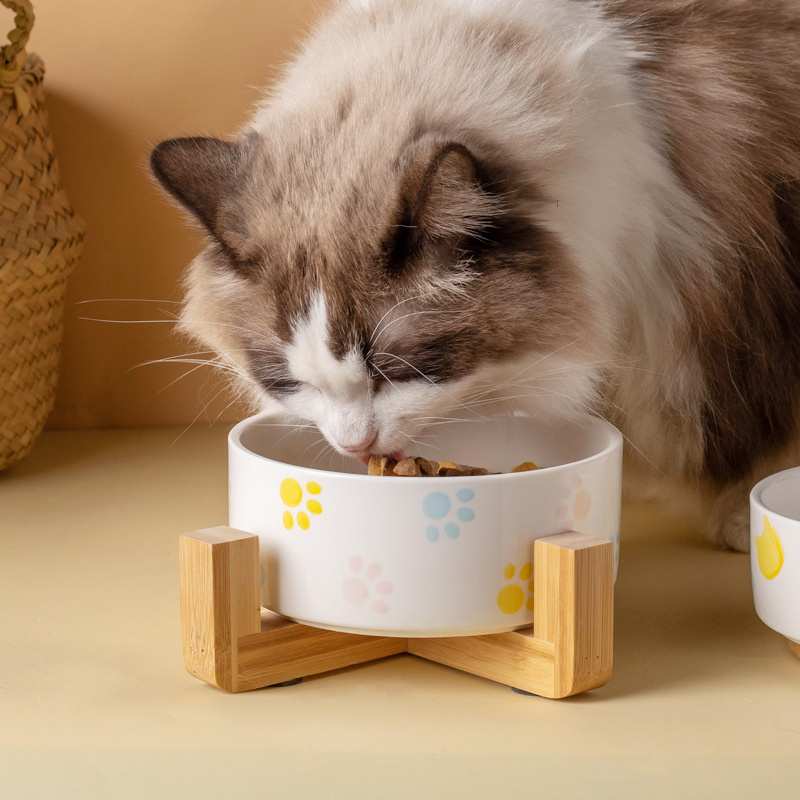 Keramiek Hondenbak Met Houten  - Pet Supplies Dog Food recensie en prijs