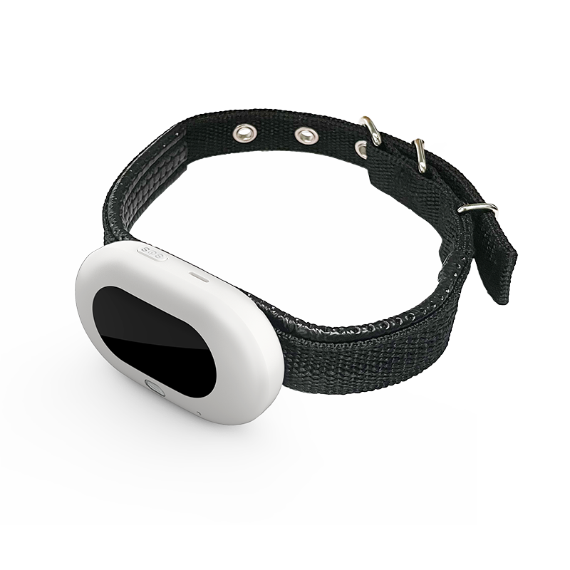 V41 4G LTE GPS-tracker voor hu - Pet Gps Tracker Collar recensie en prijs