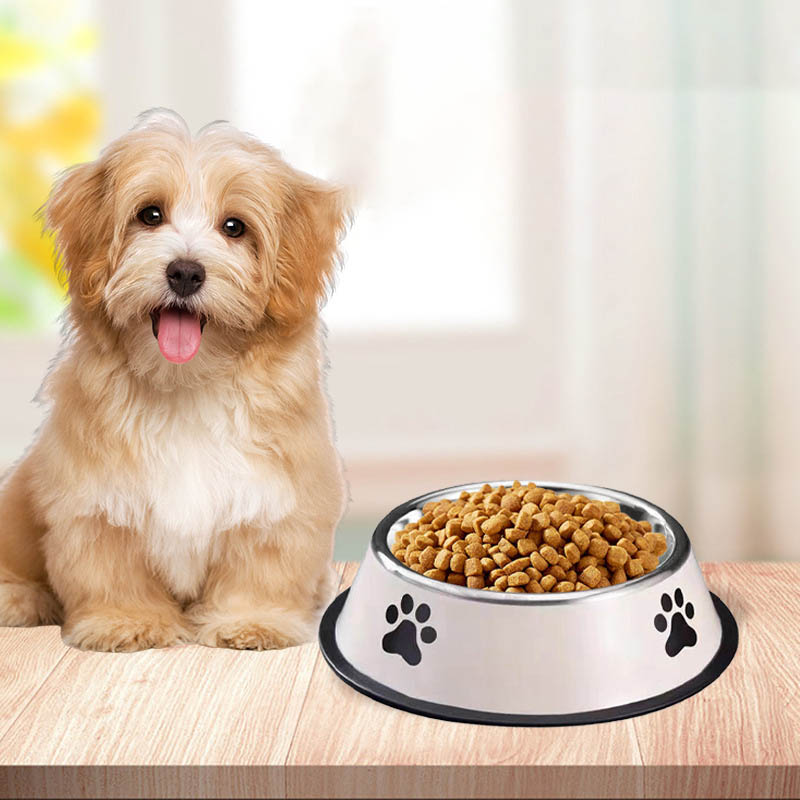 Roestvrijstalen voerbak met gr - Pet Supplies Plus recensie en prijs
