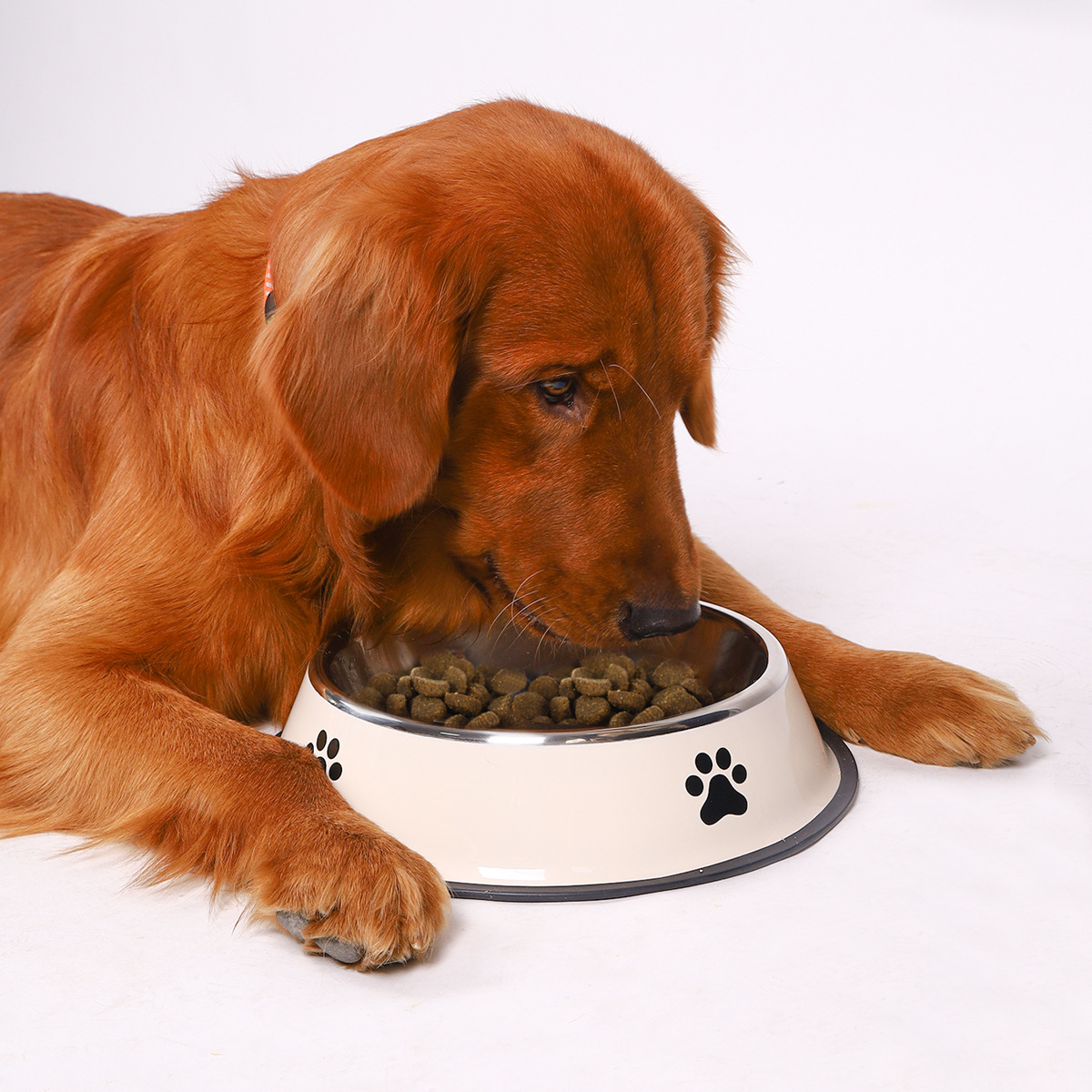Roestvrijstalen voerbak met gr - Pet Supplies Plus recensie en prijs