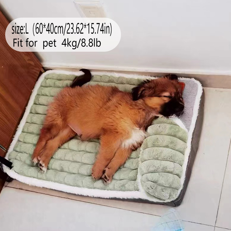 Grensoverschrijdende nieuwe co - Pet Supplies Plus recensie en prijs