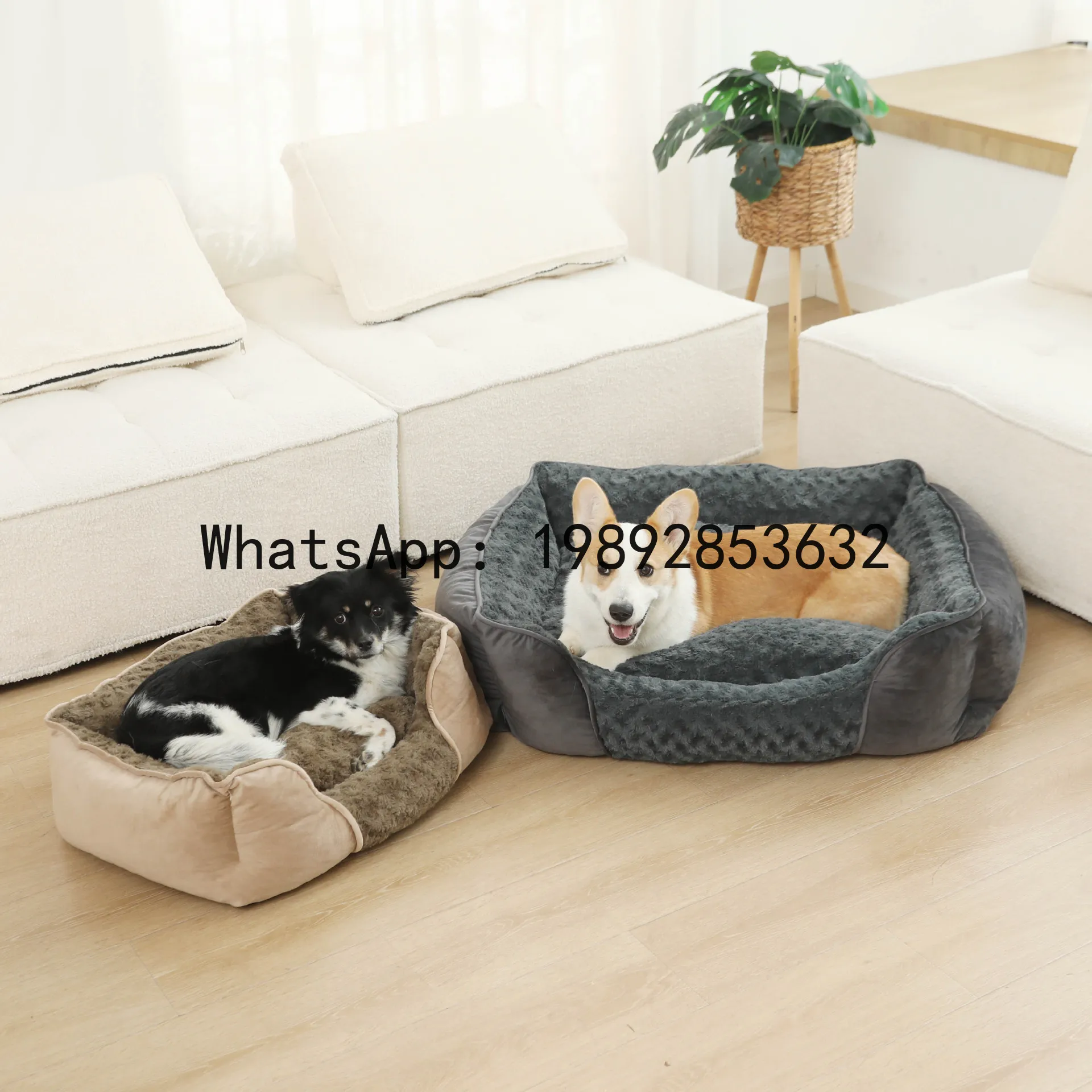 X kattenhuis semi-gesloten hon - Pet X Supplies & Tack Howell recensie en prijs