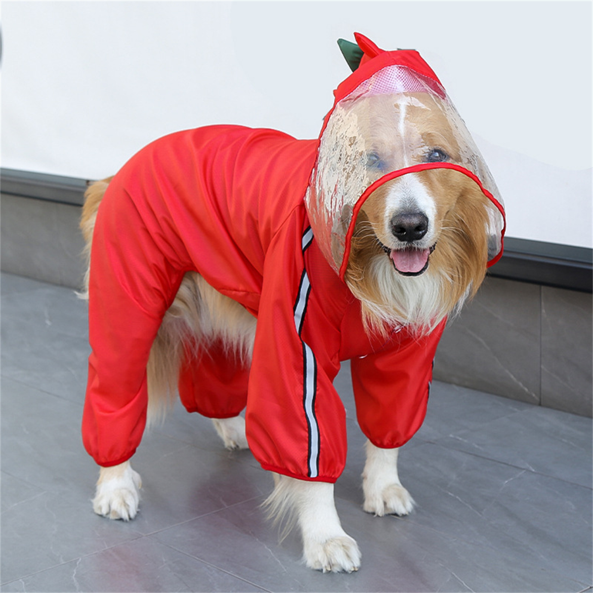Hondenregenjas Waterdicht Dogf - Pet Supplies Plus recensie en prijs