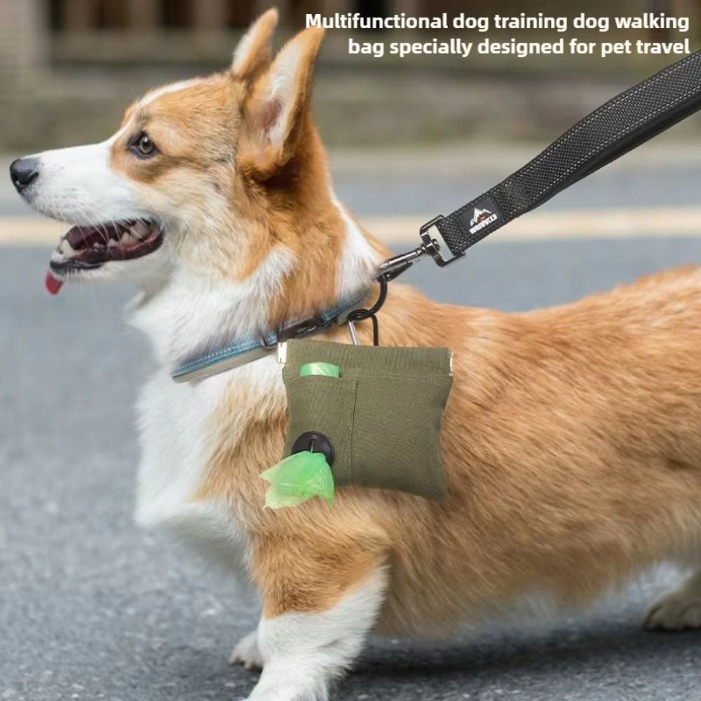 Draagbare design hondentrainin - Pet Supplies Plus recensie en prijs
