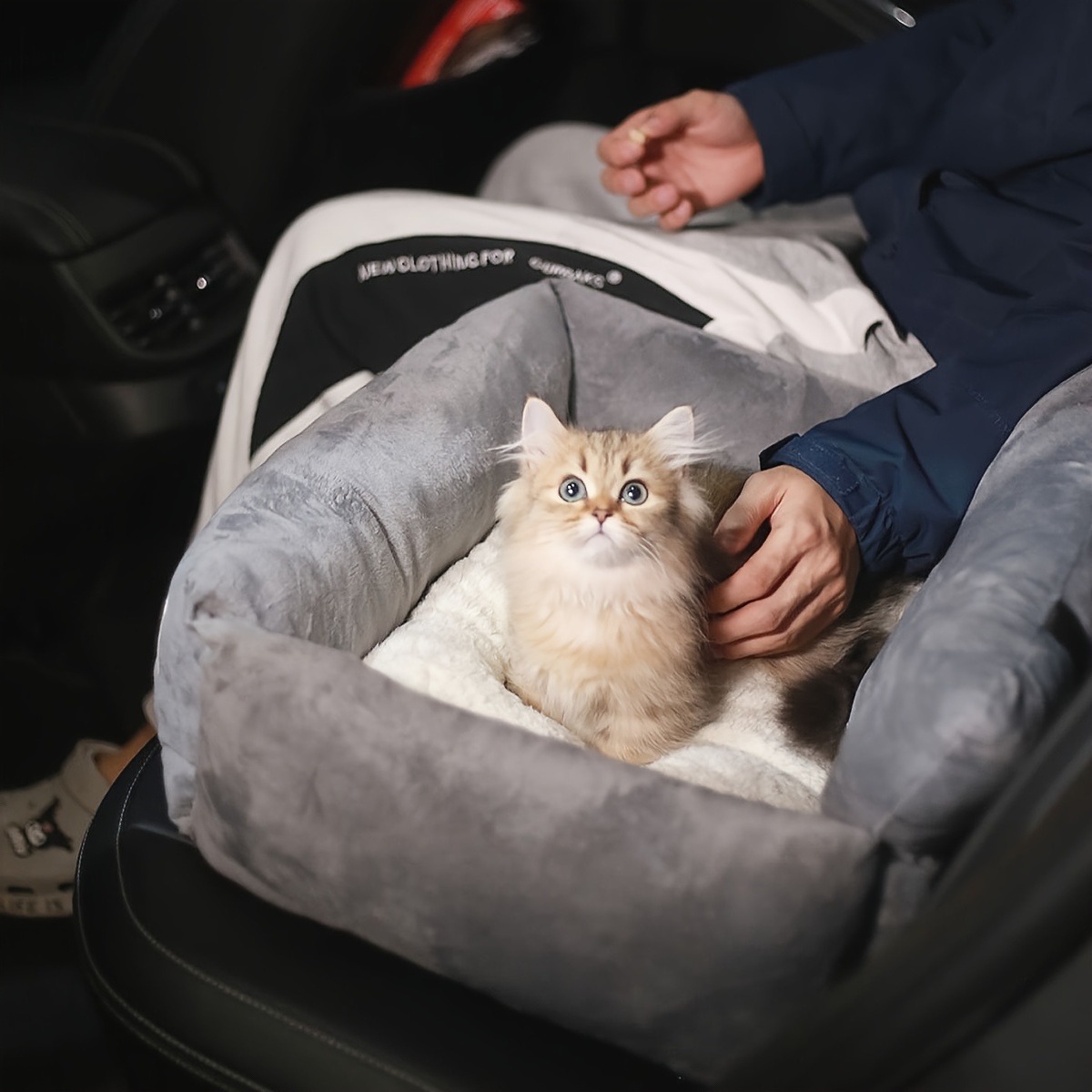 Autobed Hondensofa Grote Honde - Pet Supplies Plus recensie en prijs