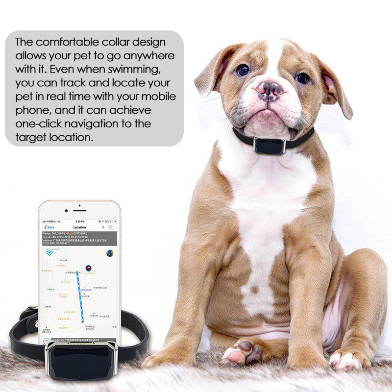 GPS-tracker voor huisdieren, v - Pet Gps Tracker Collar recensie en prijs
