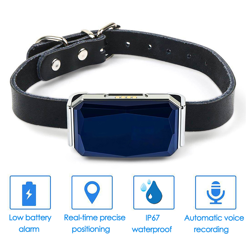 GPS-tracker voor huisdieren, v - Pet Gps Tracker Collar recensie en prijs