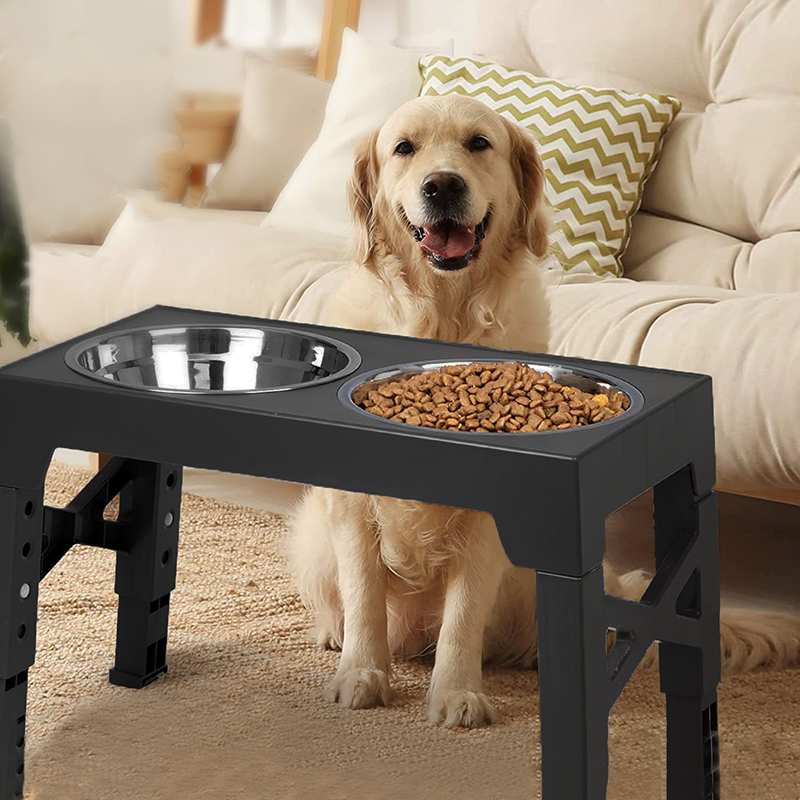 BOOTEELY Verhoogde hondenvoerb - Pet Supplies Dog Food recensie en prijs