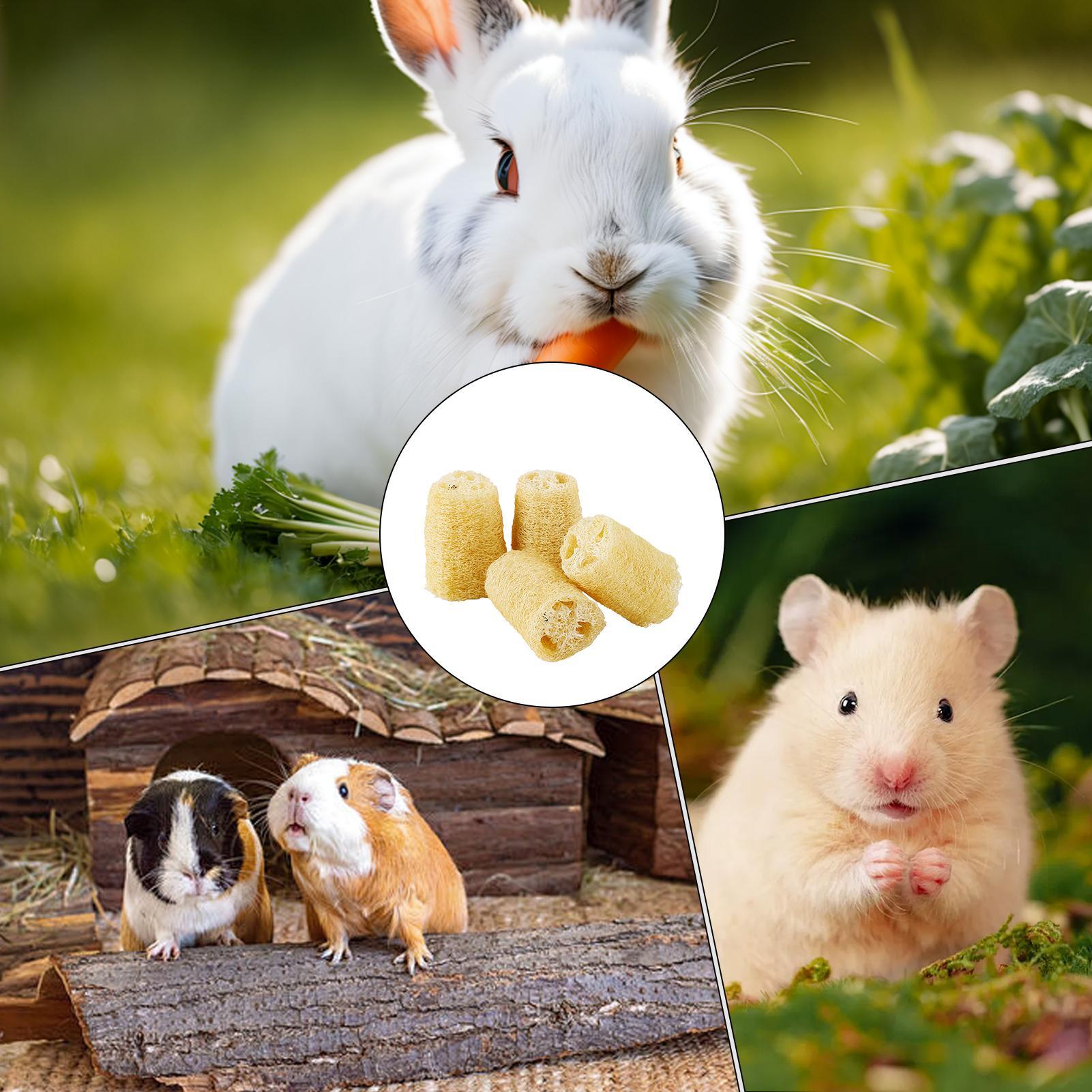 Kauwspeelgoed voor konijntjes  - Pet Supplies Pet Shop recensie en prijs