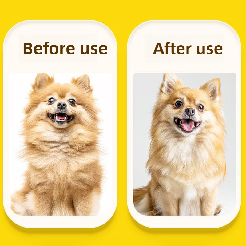 Hond Föhn Multifunctionele Hui - Pet Supplies For Less recensie en prijs