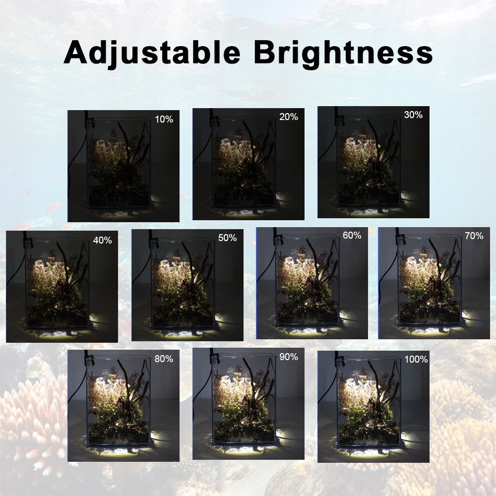 Super Slim LED Aquariumlicht V - Pet Supplies Pet Shop recensie en prijs