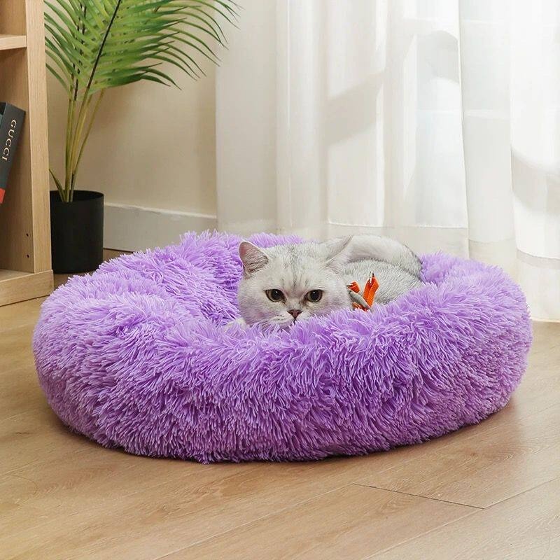 Party Cotton Hondenkussen Plui - Pet Supplies Australia recensie en prijs