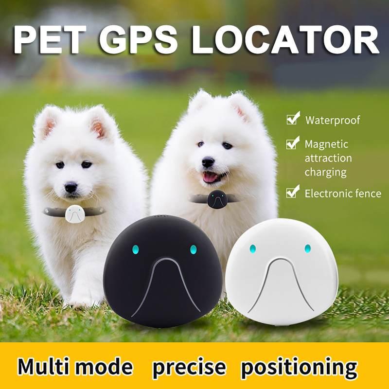 2G/4G Huisdier GPS Anti Verlor - Pet Gps Tracker Collar recensie en prijs