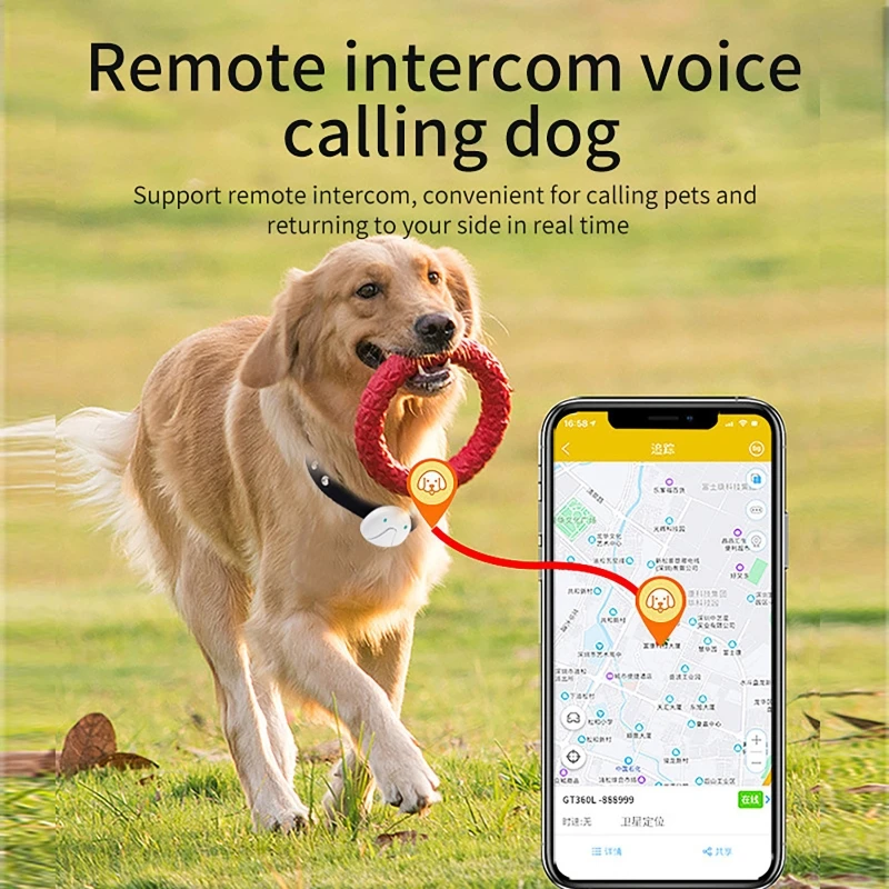 2G/4G Huisdier GPS Anti Verlor - Pet Gps Tracker Collar recensie en prijs